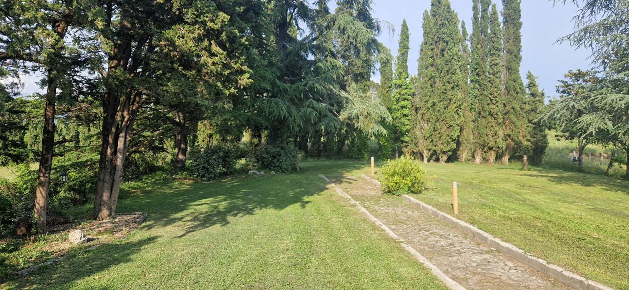 B&B Podere Montese Villafranca in Lunigiana Eksteriør bilde