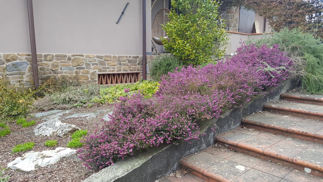 B&B Podere Montese Villafranca in Lunigiana Eksteriør bilde