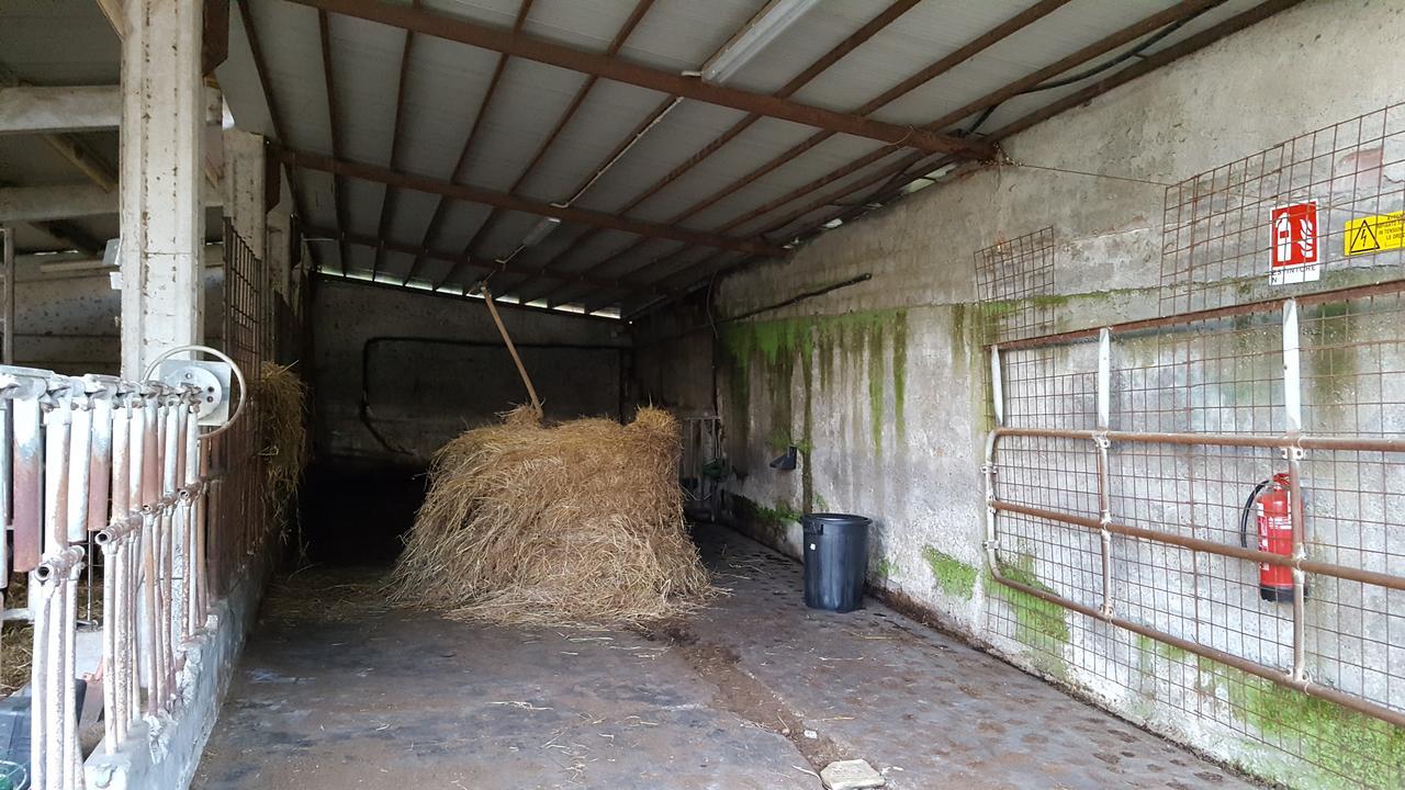 B&B Podere Montese Villafranca in Lunigiana Eksteriør bilde