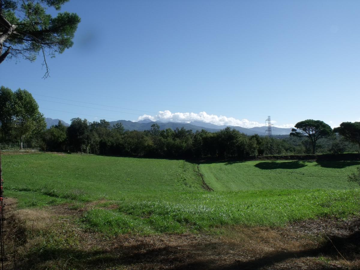 B&B Podere Montese Villafranca in Lunigiana Eksteriør bilde