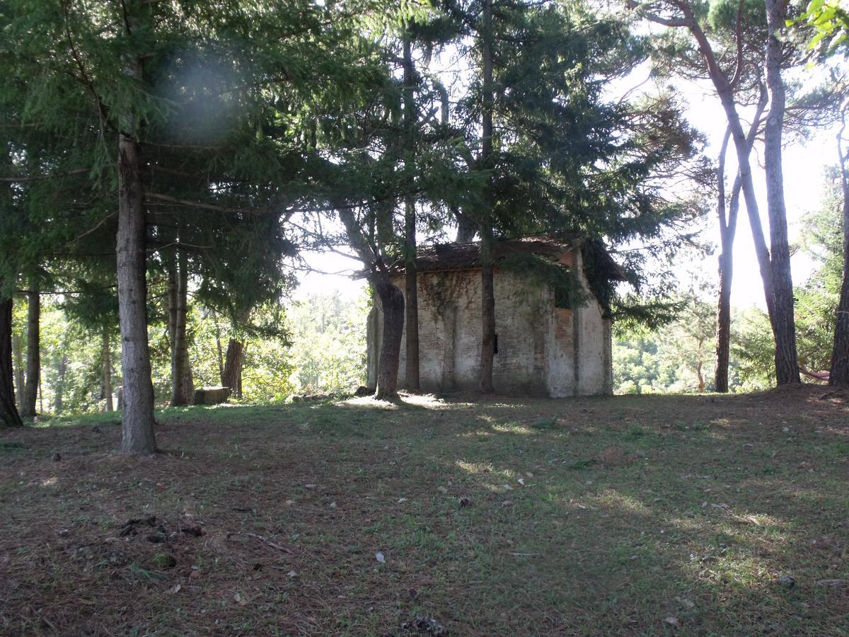 B&B Podere Montese Villafranca in Lunigiana Eksteriør bilde